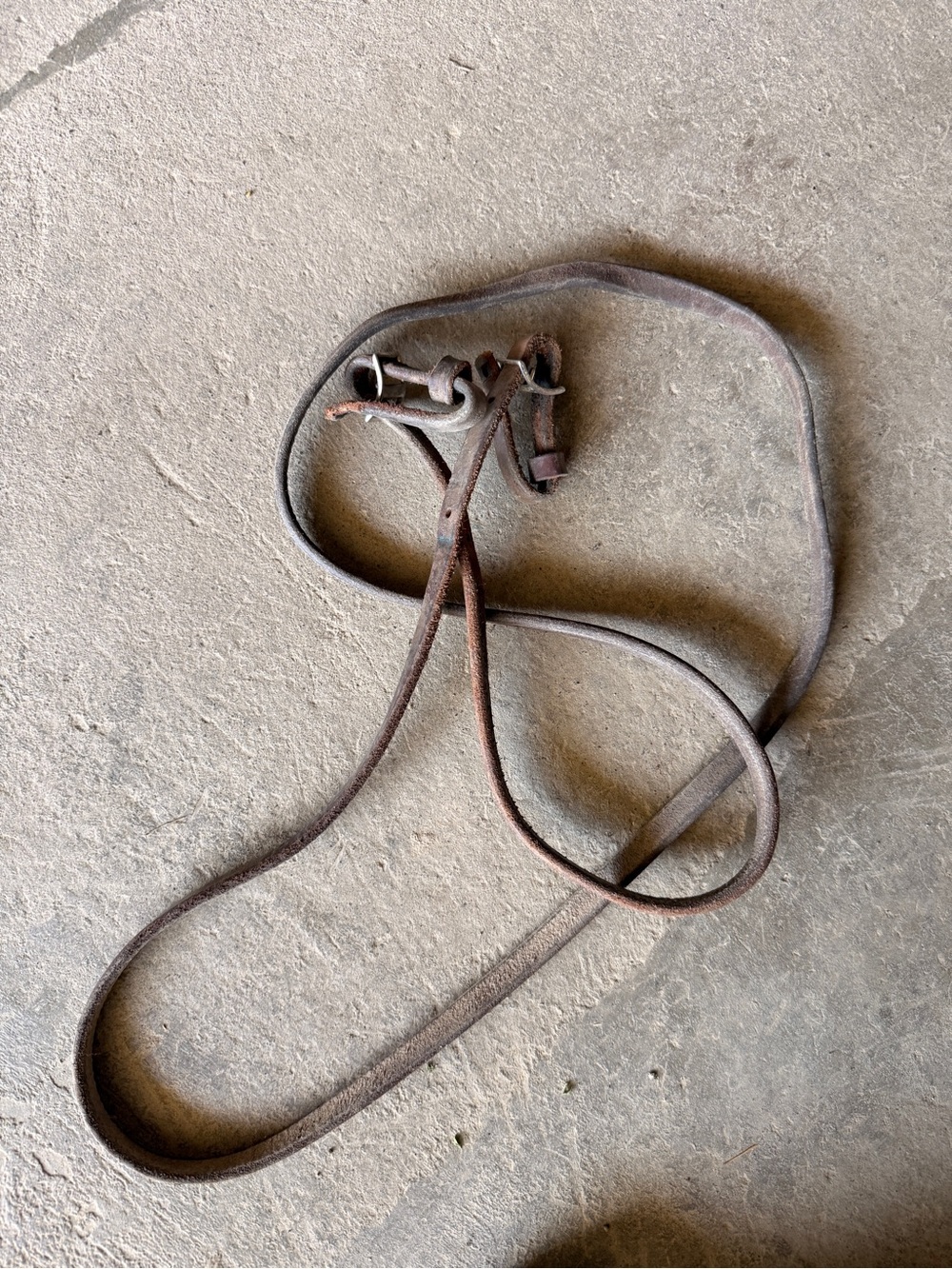 Western Horse Reins